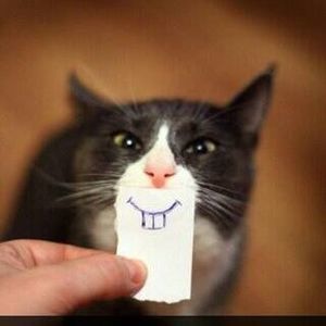 Meet your Posher, Ashleigh